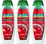 Palmolive Naturals Colour Shampoo 350ml | Protect | Restore | Shine X 3
