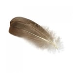 Veniard Grey Goose Herl, Fly Tying Feathers, Fly Tying, Goose Feathers, Quills