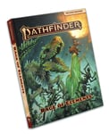 Andrew D. Geels - Pathfinder RPG Rage of Elements (P2) Bok