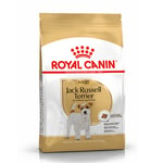 Royal Canin Jack Russel Adult