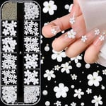 3D Blomster Nagelkonst Charm, 250 st Vit Blommor Nagel Strass Kit 3D Kristall Nagel Pärlor Platt Design Akryl Nagelkonst Dubbar Manikyr Nagel Tillbehör