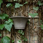 Bergs Potter Daisy väggkruka grå Ø30 cm