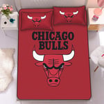Basketball Team Cartoon Star ice Silk Summer Sleeping mat Three-Piece Set Foldable and Removable Soft Bed Linen and Pillowcase Gift-Chicago-1.5m~5ft