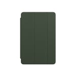 Apple Smart Folio Case till iPad Pro 11" 2nd Gen - Cyprus Green