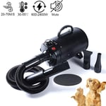 Stepless 600W-2800W Adjustable Speed & Temperature Pet Grooming Hair Dryer, Quiet Pet Hair Dryer, Hair Dryer For Dogs, Cats and Pets Large And Small, 3 Nozzle Pet Blow Dryer