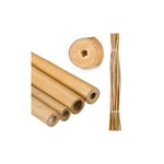 Bambupinnar 150 cm