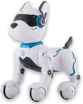 Top Race Remote Control Robot Dog Toy for Kids, Interactive & Smart Dancing... 