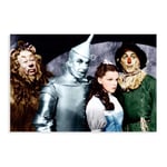 Moive The Wizard of Oz Fairy Tale Literary Masterpiece Canvas Poster Bedroom Decor Sports Landscape Office Room Decor Gift 12×18inch(30×45cm) Unframe: