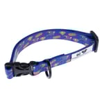 DC Superman halsband, blått - Storlek S: 25 - 36 cm halsomkrets, 20 mm brett