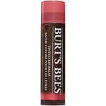 Tinted Lip Balm Rose - 4,2 g