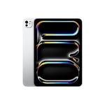 Apple 2024 11-inch iPad Pro (Wi-Fi + Cellular, 1TB, Nano-texture glass) - Silver (M4)