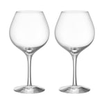 Orrefors More Pinot wine glasses 60 cl 2-pack Clear