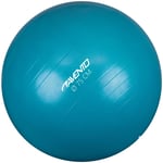 Avento Trening / Gym Ball Ø 75 cm Blå