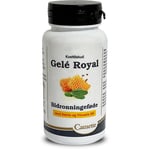 Camette Gelé Royal M. Salvie + Vitamin B6 - 120 Kapslar