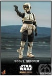 STAR WARS - The Mandalorian - Scout Trooper 1/6 Action Figure 12" TMS016 Hot Toy