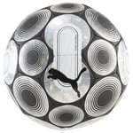PUMA Fotball Cage - Sølv/Sort/Hvit Fotballer unisex