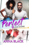 Anna Black - The Perfect Love Storm Bok