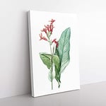 Big Box Art Canna Lily Flowers by Pierre-Joseph Redoute Canvas Wall Art Print Ready to Hang Picture, 76 x 50 cm (30 x 20 Inch), White, Beige, Green, Beige