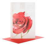 Hallmark Lovely Verse Red Rose Valentine's Day New Card "For You" - Medium