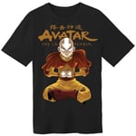 PCMerch Avatar Aang Arrows T-Shirt (L)