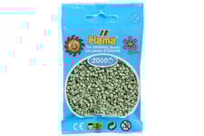 Hama Mini Pärlor Eukalyptus