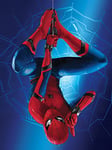 Spider-Man WDC100029 Toile Imprimée, Multicolore, 60 x 80 cm