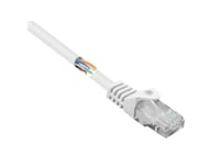 Renkforce Rf-5044010 Rj45 Nätverkskabel, Patchkabel Cat 5E U/Utp 3,00 M Vit Med Låsskydd 1 St