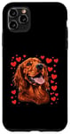 iPhone 11 Pro Max Irish Setter Hearts Dog Breed Graphic Case