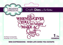 Sue Wilson Mini Expressions - When Life Gives You Scraps Die Set, Metal, 8.4 x 7.2 cm, CEDME042