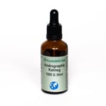 Andrographis 1000G Örtspecialisten 50 ml (finns även tabletter)