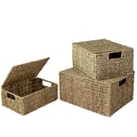 Wicker Storage Basket Bins w Lid & Handle for Home Organization and Decor| Closet Wicker Lidded Baskets for Shelves w Insert Handles|Straw Wire Woven Storage Organizer Kitchen, Pantry (Set 3 Seagrass)