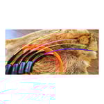Garmin Astro DC40, DC50 & T5 Longrangeantenn