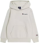 Champion Hooded Sweatshirt AMC Small logo Gutt