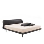 Cappellini - PegBed,MassiveFir/PoplarPlywood/MetalFrameStruct., Br: 204 cm, Fixed Fabric Cat. A, Tele 51, Wenge-Stained Ash Base Finish, Excl. Matress - Ramsängar