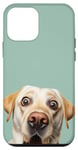 iPhone 12 mini Funny Labrador Retriever Taking a Selfie Dog Mom Puppy Dad Case