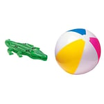 Giant Gator Childrens Large Inflatable Ride On Alligator With Four Grab Handles #58562 & 59030 Beach Ball 24 Inch