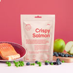Buddy Pet Foods Crispy Salmon 3 x 150g