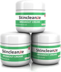 Skincleanze Breakout Cream, Salicylic Acid Skin Cleansing Treatment with Tea Tre