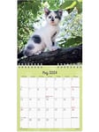 Vægkalender Kattekillinger 2024