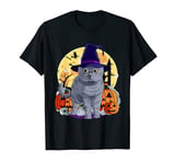 Cute British Shorthair Cat Halloween Witch Pumpkin T-Shirt