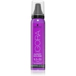 Schwarzkopf Professional IGORA Expert Mousse styling colour mousse for hair shade 9,5-55 Honey 100 ml