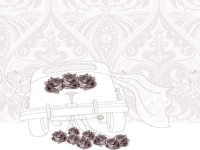 Clear Creation Swarovski Pass square CL0115 Wedding car
