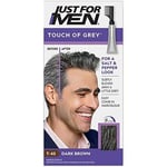 Just For Men Touch of Grey Dark Brown Hair Dye For a Natural Salt & Pepper Look