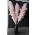 Large Fluffy Pink Pampas Grass Dried Flowers - 40"(1.2FT) Tall Bouquet of 6 - Natural Pampas Grass Plume Boho Home Decor - for Vase Flower