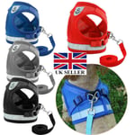 Small Dog Cat Harness And Walking Leads Set Pet Puppy Breathable Mesh Vest Uk .