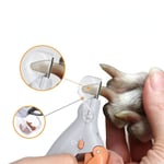 Professionell Nagelklippare för sällskapsdjur Sax Husdjur Hund Katt Nageltå Kloklippare Scissor Led Light Nagelklippare För Djur Husdjursförsörjning