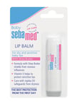 Sebamed Unisex Kids Baby Care Lip Balm for Dry and Sensitive Baby Lips 4.8 Gram