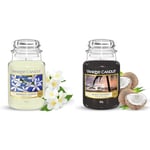 Yankee Candle Scented Candle, Midnight Jasmine Large Jar Candle, Long Burning Candles &, Scented Candle, Black Coconut Large Jar Candle, Burn Time: Up to 150 Hours