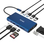 YLSCI Station d'accueil 12 en 1 USB C, avec 2 x 4 K HDMI, VGA, Ethernet, 100 W PD, USB 3.0, 4 x USBA, SD/TF pour Ordinateurs Portables et Smartphones USB-C