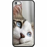 Apple Iphone 5 / 5s Se Mobilskal Cat With Beautiful Blue Eyes
